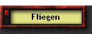 Fliegen