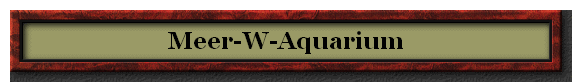 Meer-W-Aquarium